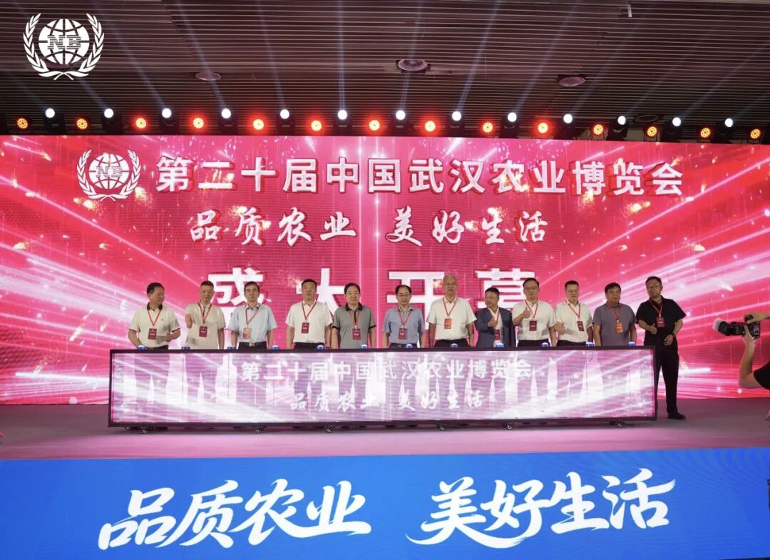 W020260610329088805027_ORIGIN 365英国上市(集团)有限公司-Official website